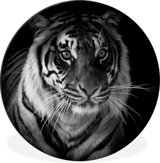 Cercle mural - Aluminium - Tête de tigre de Sumatra - noir et blanc - ⌀ 90 cm