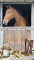 Poster Staldeur met paard - Poster paard op stal - Hanneke de Jager - Multikleur - 80 x 140 cm - Fotoprint - art print - wanddecoratie - print