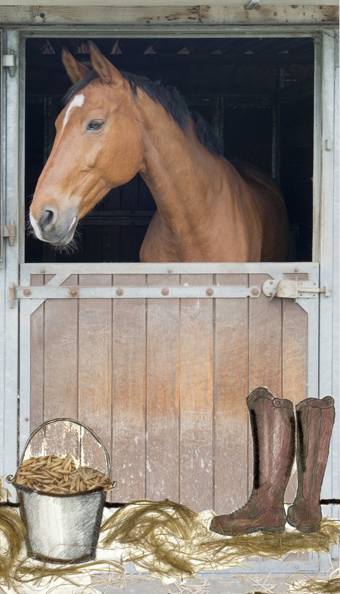 Poster Staldeur met paard - Poster paard op stal - Hanneke de Jager -  Multikleur - 80... | bol.com
