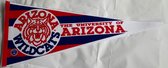 USArticlesEU - Arizona Wildcats - NCAA - University of Arizona  - Arizona state University - Arizona State - vintage Vaantje - American Football - Sportvaantje - Wimpel - Vlag - Pe