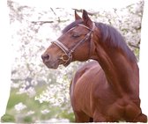 Sierkussen - Paard Sakura Halster - Bruin - 50 Cm X 50 Cm