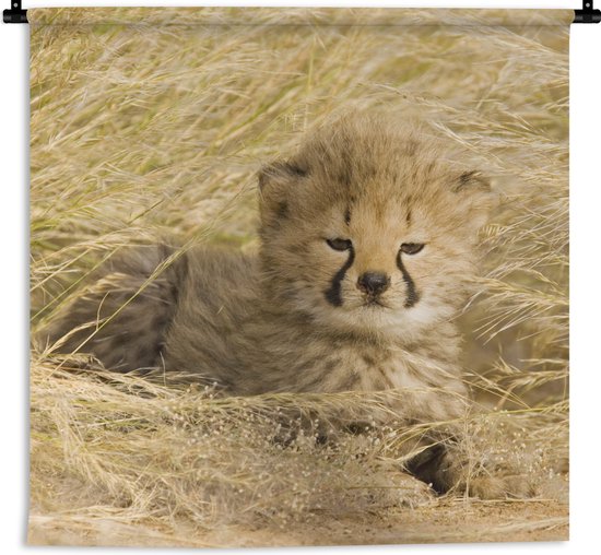 Wandkleed - Wanddoek - Cheeta - Jong - Gras - 60x60 cm - Wandtapijt