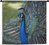 Tenture murale - Tissu mural - Paon - Vogels - Blauw - 60x60 cm - Tapisserie