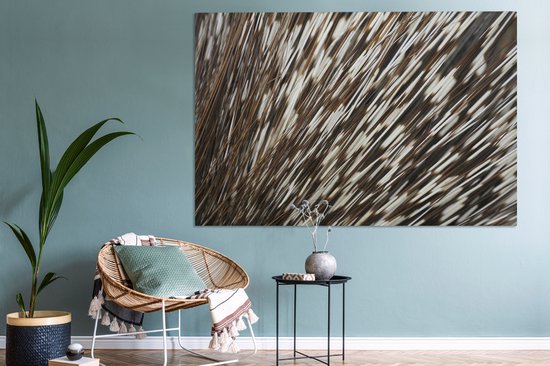 Tableau sur toile Épines en gros plan - 180x120 cm - Décoration murale XXL