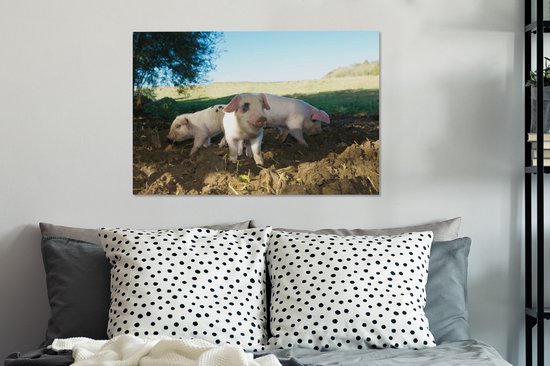 Toile Peinture Cochons - Animaux - Paysage - 60x40 cm - Décoration murale