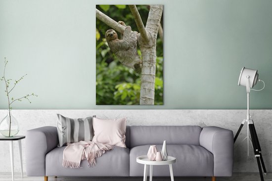 Tableau sur toile Un paresseux accroché à une branche - 90x140 cm - Décoration murale