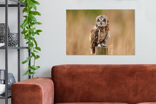 Tableau sur toile Gros plan d'un hibou des marais sur un poteau en bois - 90x60 cm - Décoration murale