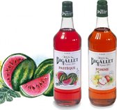 Bigallet Appel & Watermeloen sodamaker limonadesiroop voordeelpakket - 2 x 1 liter