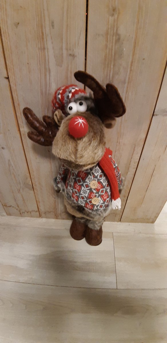 Rendier - Rudolf - Staand - 60 cm hoog - Kerst - Winter