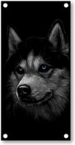 Siberische husky met blauwe ogen - Tuinposter 100x200 - Wanddecoratie - Dieren