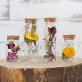 Set de 4 bocaux en Verres avec fleurs séchées et liège - Bouquet de Fleurs séchées - 4 pièces - Fleurs séchées en verre