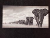 Canvas schilderij - Olifanten in het wild - Wanddecoratie - Poster - 50x100cm