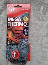 5 Paar - Mega Thermo Sokken - 39-42 - Warme Voetensokken -  Wintersokken - Huissokken - Unisex