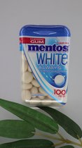 Mentos Gum White sugar free 10 x 100stuks