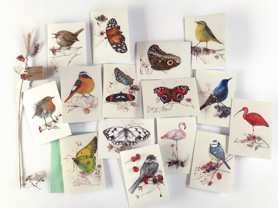 Set Botanische vogel- en vlinderkaarten met houten standaard - 15 dubbele gevouwen kaarten met bijpassende gekleurde enveloppen - Hanneke de Jager - Flamingo