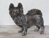 asbeeld urn hond Chihuahua langhaar bronskleur