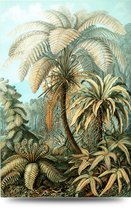 Maison de France - Canvas Haeckel collectie leven ter land - 2 - canvas - 120 x 180 cm