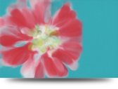 Maison de France - Voor acrylglas Rode bloem - plexiglas - 60 x 90 cm