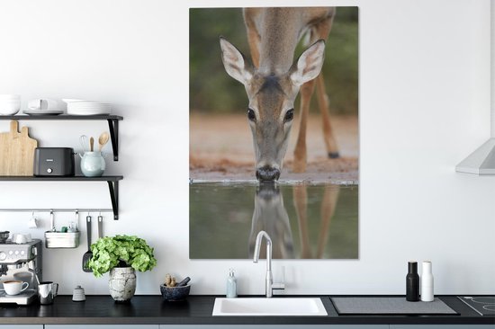 Toile de cerf à boire 80x120 cm - Tirage photo sur toile (Décoration murale salon / chambre) / Peintures sur toile Animaux