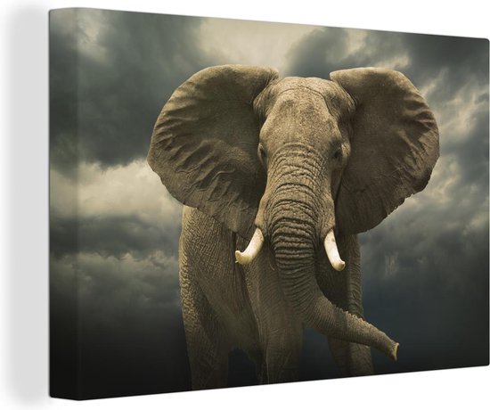 Peintures sur toile - Éléphant d'Afrique contre les nuages sombres - 150x100 cm - Décoration murale