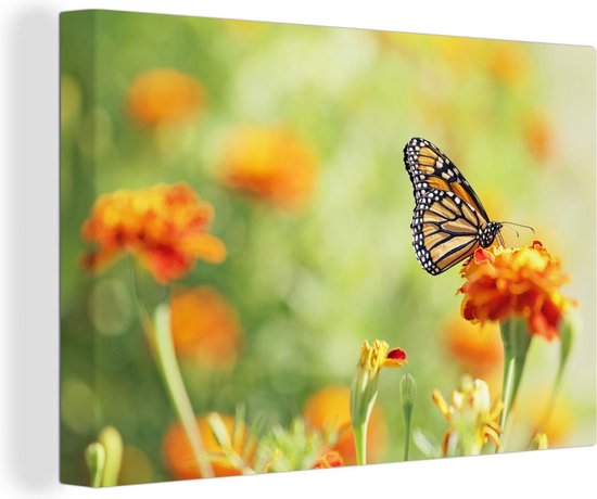 Canvas schilderij 140x90 cm - Wanddecoratie Monarchvlinder op bloem - Muurdecoratie woonkamer - Slaapkamer decoratie - Kamer accessoires - Schilderijen