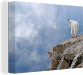 Chèvre de montagne à une falaise Toile 120x80 cm - Tirage photo sur toile (Décoration murale salon / chambre) / Peintures sur toile Animaux