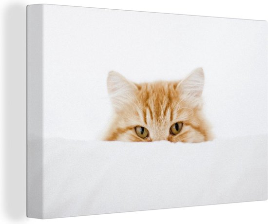 Portrait de chat rouge Toile 80x60 cm - Tirage photo sur toile (Décoration murale salon / chambre) / Peintures sur toile Animaux