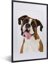 Cadre photo avec affiche - Boxer avec la langue hors de la bouche - 40x60 cm - Cadre pour affiche