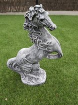 Paard tuinbeeld gemaakt uit beton 42cm hoog  grijs
