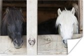 Paarden in de stal (Wanddecoratie) - Foto print op Poster 60x40 cm