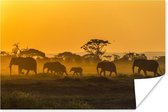Poster Kudde olifanten bij zonsopkomst - 30x20 cm