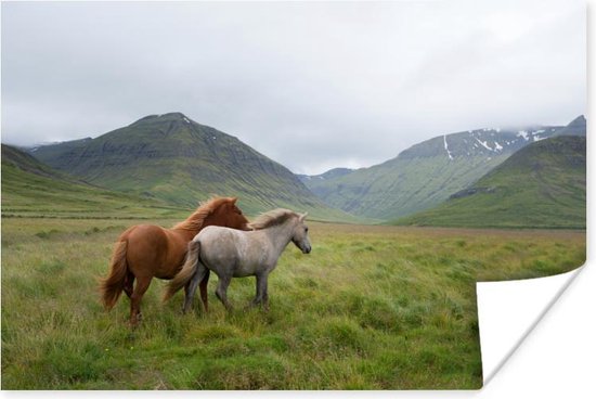 Paarden in heuvelgebied Poster 150x75 cm - Foto print op Poster (wanddecoratie)