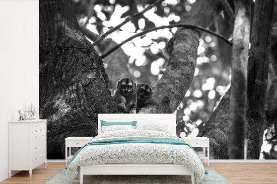 Papier peint - Papier peint photo peint animaux dans un arbre - noir et blanc - Largeur 330 cm x hauteur 220 cm
