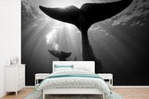 Behang - Fotobehang Tweetal dolfijnen - zwart wit - Breedte 420 cm x hoogte 280 cm