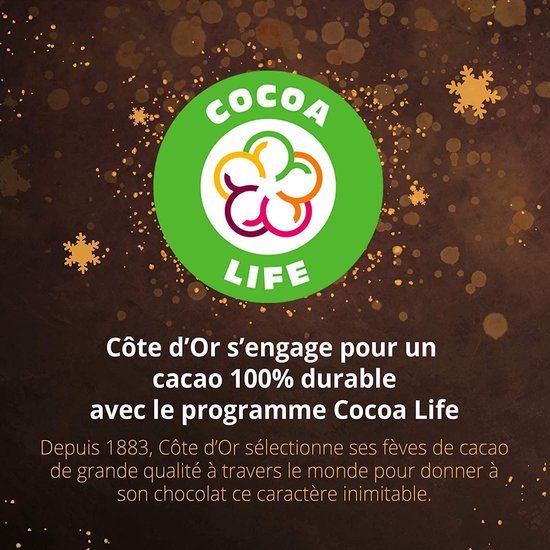 Côte d'Or Chocolade Adventskalender 2021 - 235g