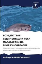 ВОЗДЕЙСТВИЕ СЕДИМЕНТАЦИИ РЕКИ МАЛАГАРАЗ&