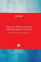 Recovery of Motor Function Following Spinal Cord Injury