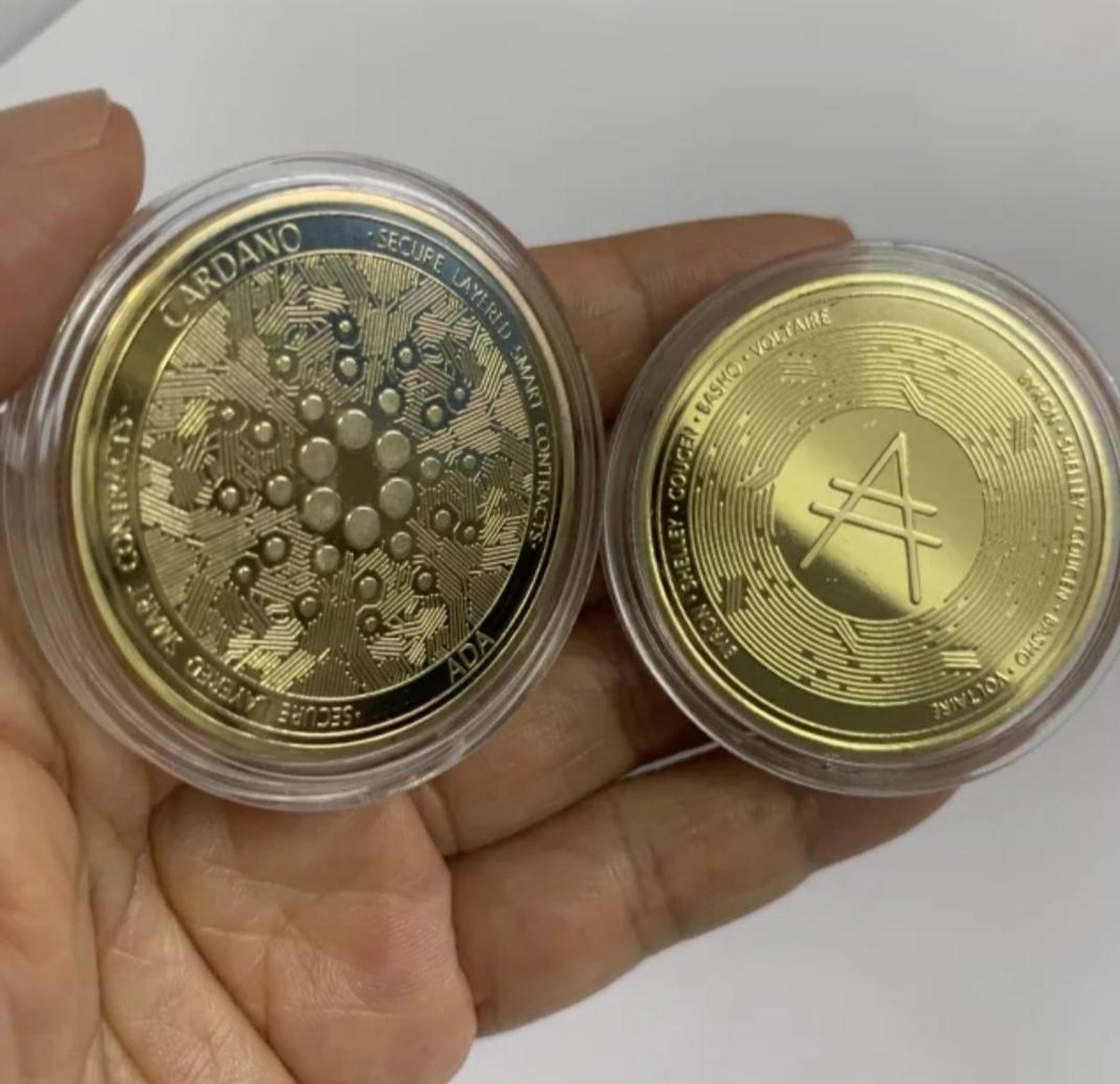 Pièce Cardano - ADA - Avec étui de protection et support - Crypto-monnaie |  bol