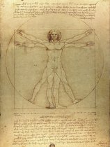 Poster Mens van Vitruvius 40x30 - Leonardo Da Vinci - Anatomie Menselijk Lichaam - Florence