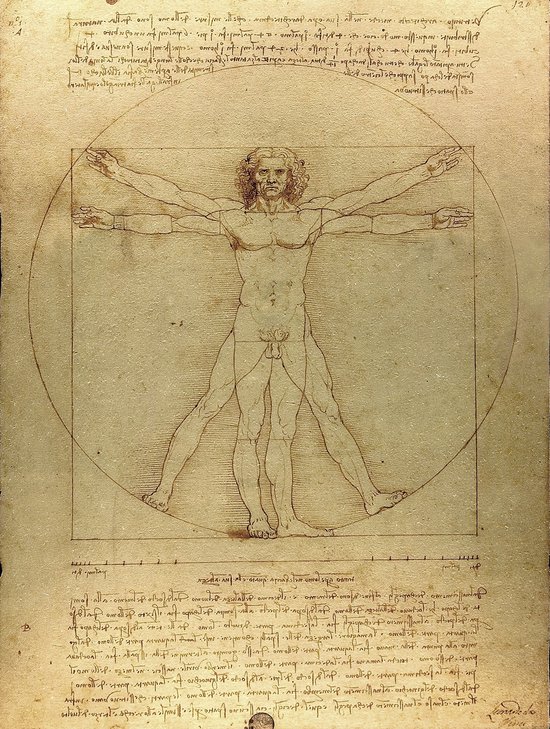 Poster Mens van Vitruvius - Da Vinci