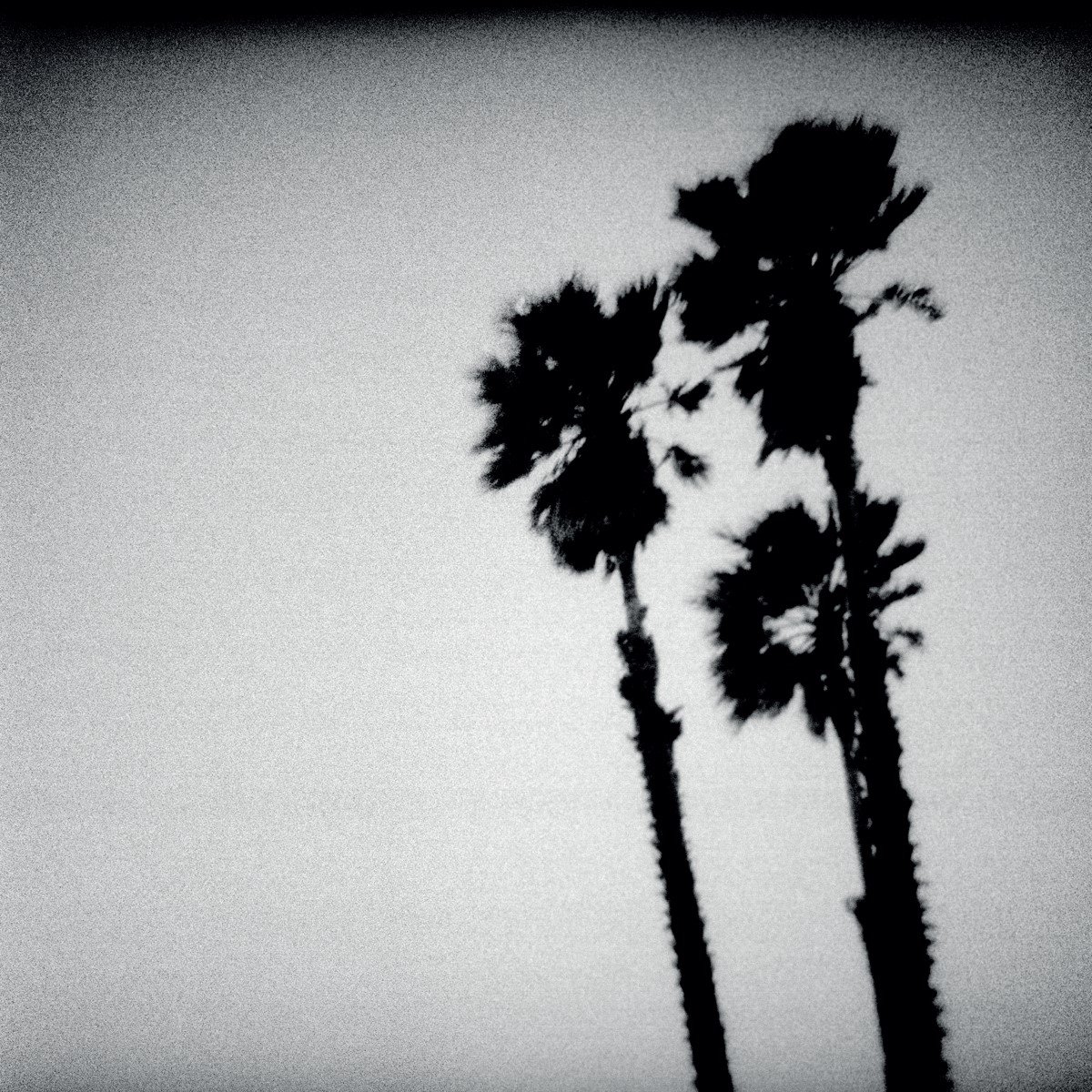The Twilight Singers - Blackberry Belle (CD)