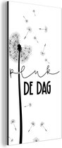 Wanddecoratie Metaal - Aluminium Schilderij Industrieel - Spreuken - Carpe diem - Pluk de dag - Quotes - 20x40 cm - Dibond - Foto op aluminium - Industriële muurdecoratie - Voor de woonkamer/slaapkamer