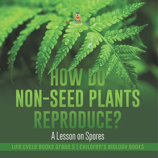 How Do NonSeed Plants Reproduce? A Lesson on Spores Life Cycle Books
