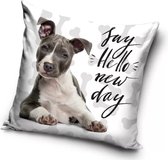 Hond, Say Hello new day Sierkussens - Kussen - 40 x 40 inclusief vulling - Kussen van Polyester - KledingDroom®