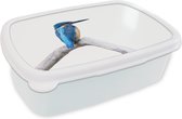 Boîte à pain Wit - Boîte à lunch - Boîte à pain - Martin-pêcheur - Branche - Bec - 18x12x6 cm - Adultes - Cadeau Sinterklaas - Distribution de cadeaux pour enfants - Cadeaux chaussures Sinterklaas