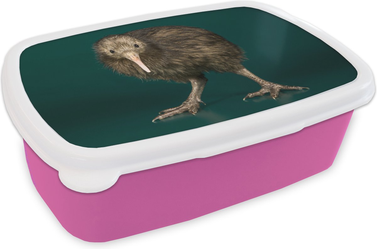 Broodtrommel Roze - Lunchbox - Brooddoos - Kiwi - Vogel - Groen - 18x12x6 cm - Kinderen - Meisje