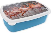 Broodtrommel Blauw - Lunchbox - Brooddoos - Flamingo - Sneeuw - Water - 18x12x6 cm - Kinderen - Jongen