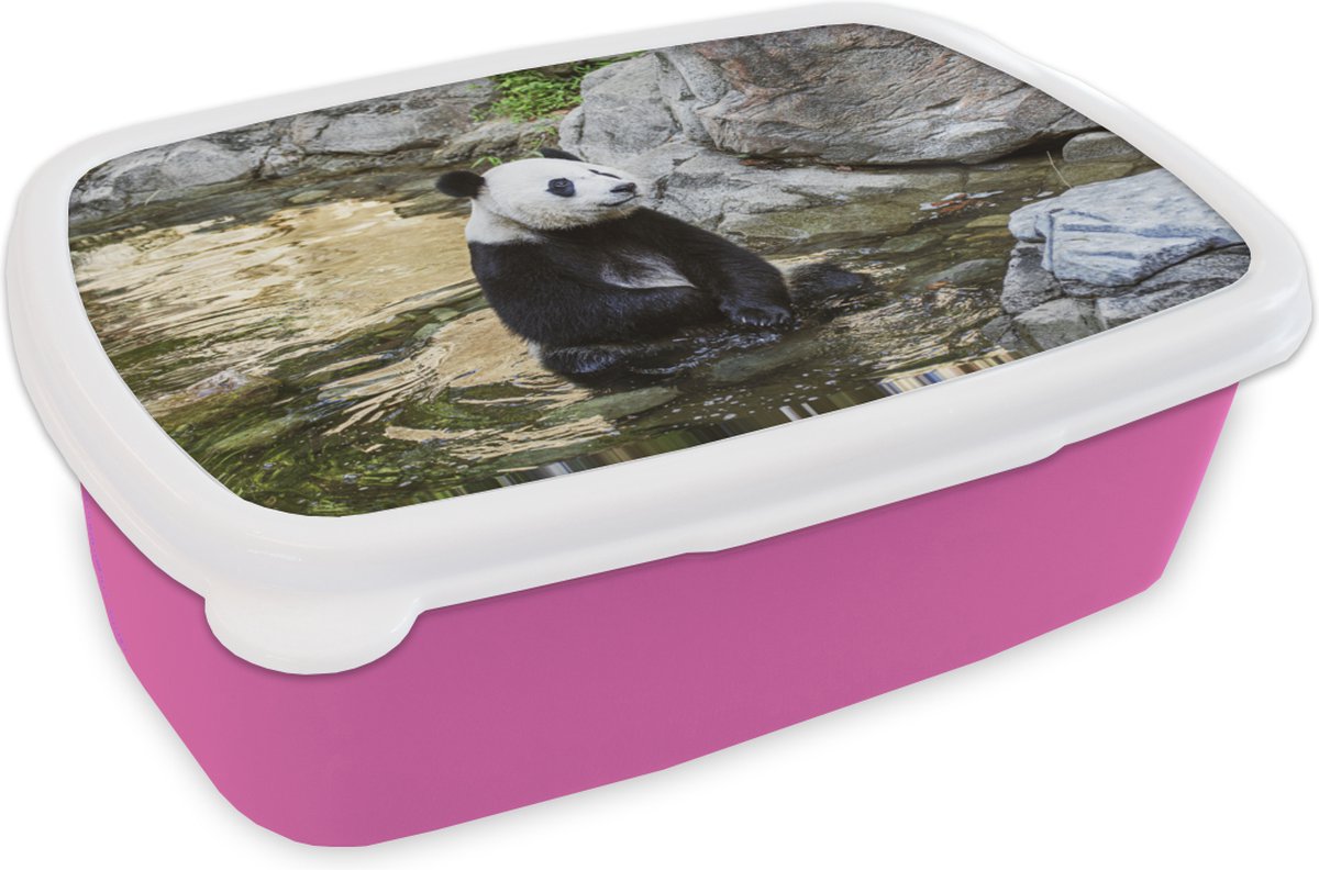Broodtrommel Roze - Lunchbox - Brooddoos - Panda - Rivier - Steen - 18x12x6 cm - Kinderen - Meisje