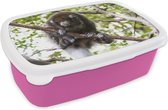 Broodtrommel Roze - Lunchbox - Brooddoos - Aap - Tak - Dier - 18x12x6 cm - Kinderen - Meisje