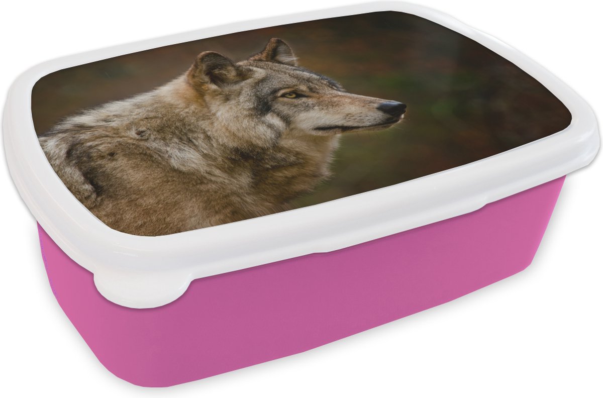 Broodtrommel Roze - Lunchbox - Brooddoos - Dieren - Wolf - Roofdieren - 18x12x6 cm - Kinderen - Meisje